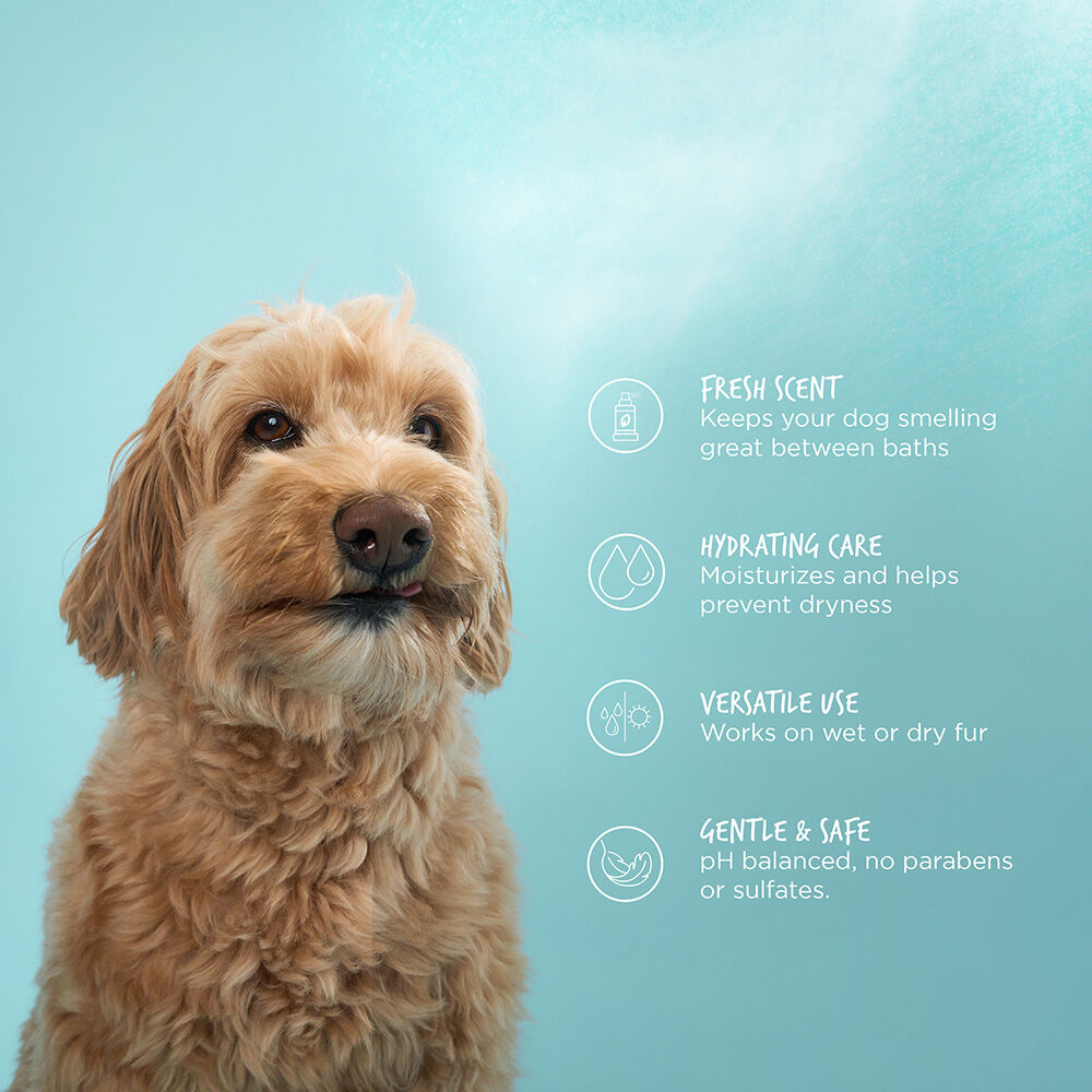 CHI Vibes For Dogs Refresh Cologne | CHI Haircare